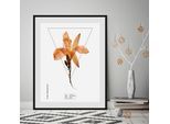 Bild QUEENCE "Hemerocallis", orange (farbe rahmen: schwarz, farbe bild(er): orange), B:50cm H:70cm, Bilder, Bild