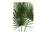 Bild KOMAR "Palmtree Leaves", grün (farbe bild(er): grün), B:40cm H:50cm, Holz, Papier, Bilder, Bild, Wandbild zur Dekoration - ohne Rahmen