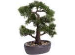 Kunstbonsai BOTANIC-HAUS "Ceder Bonsai", grün, B:35cm H:45cm T:35cm Ø:35cm, Kunststoff, Kunstpflanzen, Kunstbonsai