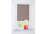 Seitenzugrollo LIEDECO Gr. 6, grau (stone), B:90cm H:150cm, Polyester, Rollos, Seitenzugrollo