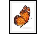 Bild QUEENCE "Jalina", orange (farbe rahmen: schwarz, farbe bild(er): orange), B:30cm H:40cm, Acrylglas, Holz, Papier, Bilder, Bild, HD Premium Poster-Druck inkl. Holzrahmen
