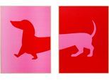 Bild mit Rahmen KARE DESIGN "Gerahmtes Bild Dog Frankie (2/Set)", pink (farbe bild(er): pink), B:30cm H:40cm T:3cm, Bilder, Bild mit Rahmen