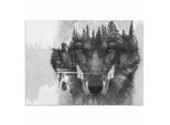 Acrylglasbild HOME AFFAIRE "Wolf", schwarz-weiß (farbe bild(er): schwarz weiß), B:60cm H:40cm, Bilder, Acrylglasbild, Fine Art-Print in Galeriequalität