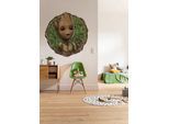 Wandtattoo KOMAR "selbstklebendes Vlies - Groot Little Twig - Größe 125 x 125 cm", bunt, Blumen Disney Wald, Folie, Wandtattoos, Wandtattoo, rund und selbstklebend