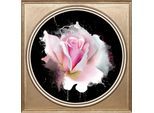 Acrylglasbild QUEENCE "Rosa Rose", bunt (farbe bild(er): bunt), B:40cm H:40cm T:3cm Ø:56,57cm, Bilder, Acrylglasbild, Fine Art-Print in Galeriequalität