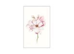 Bild KOMAR "Magnolia Blossom", rosa (farbe bild(er): rosa), B:30cm H:40cm, Holz, Papier, Bilder, Bild, Wandbild zur Dekoration - ohne Rahmen