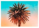 Bild KOMAR "Palm Tree", bunt (farbe bild(er): bunt), B:70cm H:50cm, Holz, Papier, Bilder, Bild, Wandbild zur Dekoration - ohne Rahmen