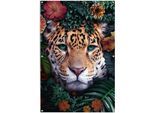Poster REINDERS "Leopard", bunt (farbe bild(er): bunt), B:80cm H:120cm T:0,1cm, Leinwand, Bilder, Poster, leichtes und wasserfestes Gartenposter für den Außeneinsatz