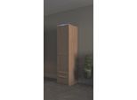 Kleiderschrank PRIESS "Schrank Garderobe Wäscheschrank Barcelona in 5 Breiten", braun (edelbuchefarben), B:48cm H:193cm T:54cm, Holzwerkstoff, Schränke, Kleiderschrank, viel Stauraum, geräumige Schubkästen, mit Spiegel, MADE IN GERMANY