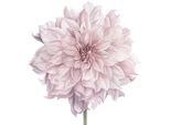 Wandtattoo QUEENCE "Nele", rosa, B:80cm H:80cm, Folie, Wandtattoos, Wandtattoo, Wandbild, Sticker, rosa, Blume, Blüte, selbstklebend, Pastellfarben