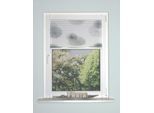 Plisseerollo HOME WOHNIDEEN "RAWLINS", grau (stein), B:80cm H:130cm, Obermaterial: 100% Polyester, Raffrollos, Plisseerollo, halbtransparent