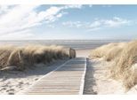 Deco-Panel REINDERS "Nordsee Dünen", grün (farbe bild(er): khaki), B:90cm H:60cm, MDF, Bilder, Deco-Panel