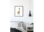 Bild KOMAR "Cute Animal Giraffe", bunt (farbe bild(er): bunt), B:50cm H:70cm, Holz, Papier, Bilder, Bild, Wandbild zur Dekoration - ohne Rahmen