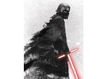 Bild KOMAR "Star Wars EP9 Kylo Vader Shadow", bunt (farbe bild(er): bunt), B:30cm H:40cm, Holz, Papier, Bilder, Bild, Wandbild zur Dekoration im Kinderzimmer - ohne Rahmen