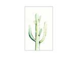 Bild KOMAR "Saguaro Watercolor", bunt (farbe bild(er): bunt), B:40cm H:50cm, Holz, Papier, Bilder, Bild, Wandbild zur Dekoration - ohne Rahmen