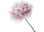 Wandtattoo QUEENCE "Anna", rosa, B:90cm H:90cm, Folie, Wandtattoos, Wandtattoo, Wandbild, Sticker, rosa, Blume, Blüte, selbstklebend