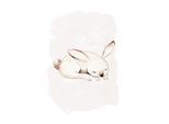 Bild KOMAR "Sleepy Bunny", schwarz (farbe bild(er): schwarz, weiß), B:50cm H:70cm, Holz, Papier, Bilder, Bild, Wandbild zur Dekoration - ohne Rahmen