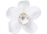 Wanddekoobjekt KARE DESIGN "Wandschmuck Orchid Weiß 54cm", weiß, B:51,2cm H:54,2cm T:14,5cm, Polyresin, Wanddekoobjekte, Wanddekoobjekt