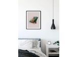 Bild KOMAR "Animals Paradise Iguana", bunt (farbe bild(er): bunt), B:40cm H:50cm, Holz, Papier, Bilder, Bild, Wandbild zur Dekoration - ohne Rahmen