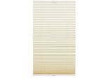 Plissee GARDINIA "Concept Tageslicht", beige, B:100cm H:130cm, Obermaterial: 100% Polyester, Plissees, Plissee, in der Breite kürzbar