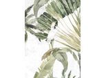 Bild KOMAR "Oiseau Cacadoo", bunt (farbe bild(er): bunt), B:50cm H:70cm, Holz, Papier, Bilder, Bild, Wandbild zur Dekoration - ohne Rahmen