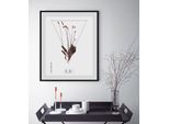 Bild QUEENCE "Plantaginaceae", braun (farbe rahmen: schwarz, farbe bild(er): braun), B:50cm H:70cm, Acrylglas, Holz, Papier, Bilder, Bild, HD Premium Poster-Druck inkl. Holzrahmen