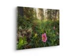 Leinwandbild KOMAR "Charming Woods - Größe 60 x 40 cm", bunt (farbe bild(er): bunt), B:60cm H:40cm T:2cm, Holz, Papier, Bilder, Leinwandbild, Keilrahmenbild mi Echtholzrahmen