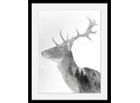 Bild QUEENCE "Hirsch", schwarz (farbe rahmen: schwarz, farbe bild(er): schwarz), B:40cm H:50cm T:3cm, Acrylglas, Holz, Papier, Bilder, Bild, HD Premium Poster-Druck inkl. Holzrahmen