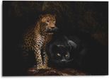 Wandbild REINDERS "Aluminium Wandbild Raubtiere Panther - Cougar - Katzen - Höhle", schwarz (farbe bild(er): schwarz), B:70cm H:50cm, Aluminium, Bilder, Wandbild