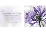 Leinwandbild QUEENCE "Worte der Natur", lila (farbe bild(er): lila), B:80cm H:40cm T:2cm, Canvas, Holzrahmen, Bilder, Leinwandbild, Premium-Leinwandstoff, Handarbeit aus Deutschland, Zitat, 2er Set