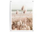 Poster REINDERS "Gräser", beige (farbe bild(er): beige), B:60cm H:80cm T:0,1cm, Leinwand, Bilder, Poster, Outdoor für Garten oder Balkon