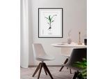 Bild QUEENCE "Zea mays", grün (farbe rahmen: schwarz, farbe bild(er): grün), B:50cm H:70cm, Bilder, Bild