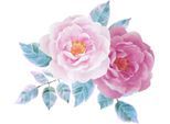 Wandtattoo QUEENCE "Lina", rosa, B:90cm H:90cm, Folie, Wandtattoos, Wandtattoo, Wandbild, Sticker, rosa, Blume, Blüte, selbstklebend, Pastellfarben