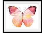 Bild QUEENCE "Elli", rosa (farbe rahmen: schwarz, farbe bild(er): rosa), B:50cm H:40cm, Acrylglas, Holz, Papier, Bilder, Bild, HD Premium Poster-Druck inkl. Holzrahmen