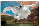 Poster REINDERS "Der bedrohte Schwan", bunt (farbe bild(er): bunt), B:120cm H:80cm T:0,1cm, Leinwand, Bilder, Poster