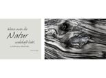 Leinwandbild QUEENCE "Natur", grau (farbe bild(er): grau), B:100cm H:40cm T:2cm, Canvas, Holzrahmen, Bilder, Leinwandbild, Premium-Leinwandstoff, Handarbeit aus Deutschland, Zitat, 2er Set