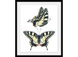 Bild QUEENCE "Emily", beige (farbe rahmen: schwarz, farbe bild(er): natur), B:40cm H:50cm, Bilder, Bild