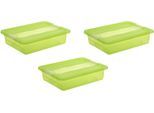 Organizer KEEEPER "cornelia", grün, B:29,5cm H:9,5cm T:39,5cm, Kunststoff, Aufbewahrungsboxen, Organizer, Aufbewahrungsbox, mit Deckel, Schiebeverschluss, 7 L
