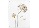 Poster REINDERS "Trockenblumen", beige (farbe bild(er): beige), B:60cm H:80cm T:0,1cm, Leinwand, Bilder, Poster, Outdoor für Garten oder Balkon