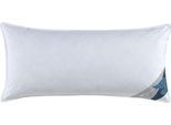 3-Kammer-Kopfkissen HAEUSSLING "GRÖNLAND, Kissen in 40x80 & 80x80 cm", weiß, B:40cm L:80cm, Bezug: 100% Baumwolle. Füllung Außenkammer: 90% Entendaune, 10% Entenfeder. Füllung Innenkammer: 100% Entenfeder, Kopfkissen, 3-Kammer-Kopfkissen, hochwertiges Daunenprodukt "Made in Green" zertifiziert
