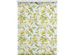 Seitenzugrollo LICHTBLICK ORIGINAL "Rollo Klemmfix, ohne Bohren, blickdicht, Limone - Gelb Grün", gelb (gelb, grün, weiß), B:60cm H:150cm, Polyester, Rollos, Seitenzugrollo