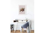 Bild KOMAR "Animals Paradise Turtle", bunt (farbe bild(er): bunt), B:50cm H:70cm, Holz, Papier, Bilder, Bild, Wandbild zur Dekoration - ohne Rahmen