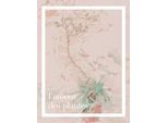 Bild KOMAR "PLANT ART L'amour des plantes", rosa (farbe bild(er): rosa), B:30cm H:40cm, Holz, Papier, Bilder, Bild, Wandbild zur Dekoration - ohne Rahmen