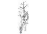 Wandbild KAYOOM, silber (farbe bild(er): silber), Zebras, Bilder, Wandbild