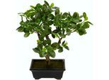 Kunstbonsai I.GE.A. "Ginseng-Bonsai", grün, B:13cm H:33cm, Obermaterial: 70% Kunststoff, 30% Polyester, Kunstpflanzen, Kunstbonsai, in Bonsaischale aus Kunststoff