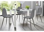 Essgruppe OTTO HOME, grau (weiß, grau), B:120cm, Sitzmöbel-Sets, Essgruppe, mit Glastisch, Breite 120 cm