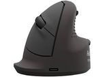 Fellowes Vertikalmaus Bretyta Plus+, Grösse M, für Rechtshänder, ergonomisch, 3-fache Konnektivität, 400-2400 dpi, mit Microban®-Schutz, schwarz