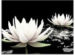Glasbild ARTLAND "Zwei Lotusblumen auf dem Wasser", schwarz (farbe bild(er): schwarz), B:80cm H:60cm, Bilder, in verschiedenen Größen
