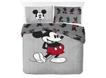 Kinderbettwäsche DISNEY "Disney Mickey Mouse Bettbezug-Set 135x200 cm + Kissenbezug 80x80 cm", grau, B/L: 137cm x 200cm, 1 Stk., 1 Stk., Washed Cotton, B/L: 80cm x 80cm, 2 tlg., Washed Cotton, Obermaterial: 100% Baumwolle, Bettwäsche, Kinderbettwäsche, 100 % Baumwolle, maschinenwaschbar, wendbar
