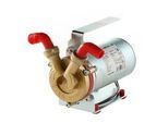 Rover Marina Mini 20 Elektro Flüssigkeitenpumpen aus Bronze 12 V